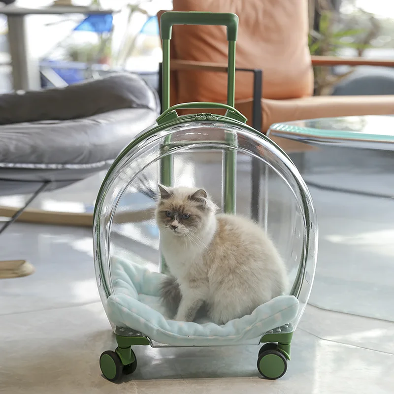 Pet Trolley Box Portable Dog Cat Outing Bag Transparent Pet Backpack Checked Airline Cat Bag, Cat Accessories Outing Cat Bag