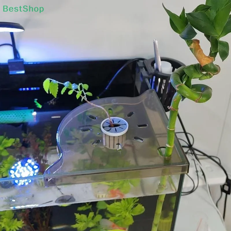 ★★★Acrylic Fish Tan…