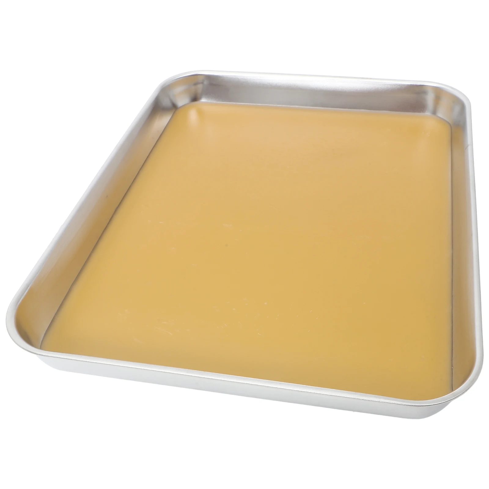 

Dissection Tray Stainless Steel Anatomy Pan Wax Lined Trays Laboratory Teaching Equipment Student Lab Practical Use Storage