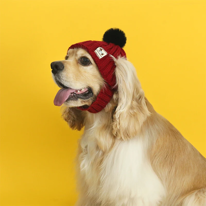 Thumbnail 2 - #38 Pet Winter Clothing Comparison Guide