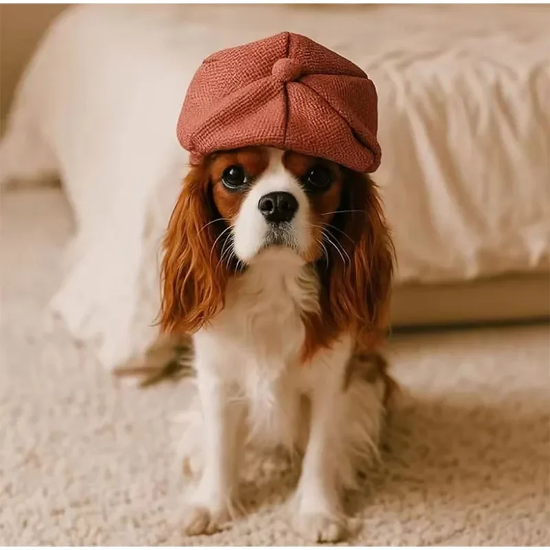S/L Retro Newsboy-Mützen für Haustiere, Baskenmütze, Haustier-Verkleidungshut, Fotoshooting-Katzenzubehör, Welpenmütze, Kopfbedeckung für Hunde und Katzen, Geschenk – Detail 6