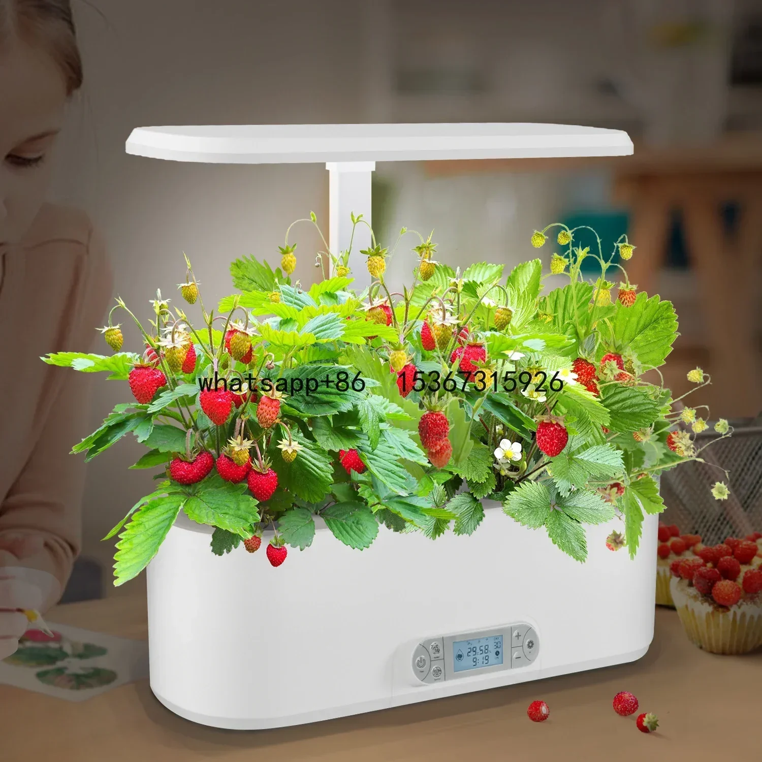 

J&C 24W 3 kinds of full spectrum hydroponics system indoor smart indoor garden hydroponic grow system mini garden hydroponic