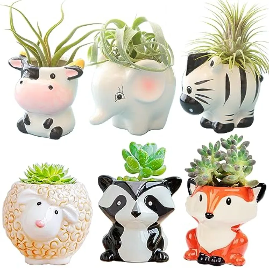 

6Pcs Air Plant Holders Cartoon Shaped Small Succulent Pot Animal Planter Small Ceramic Pot Drainage for Mini Plant Cactus Flowe