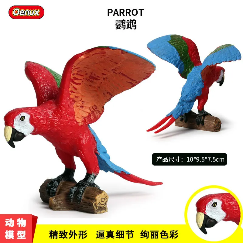 Simulate A Wild Bird Animal Model A Solid Model Of A Macaw