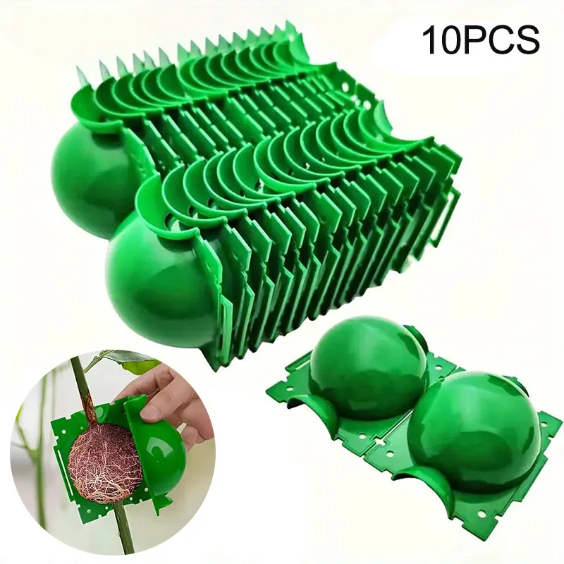 10Pcs Grafting Box Indoor Outdoor Plant Root Growing Box Cutting Grafting Rooting Ball Garden Propagation Ball Breeding Equipm