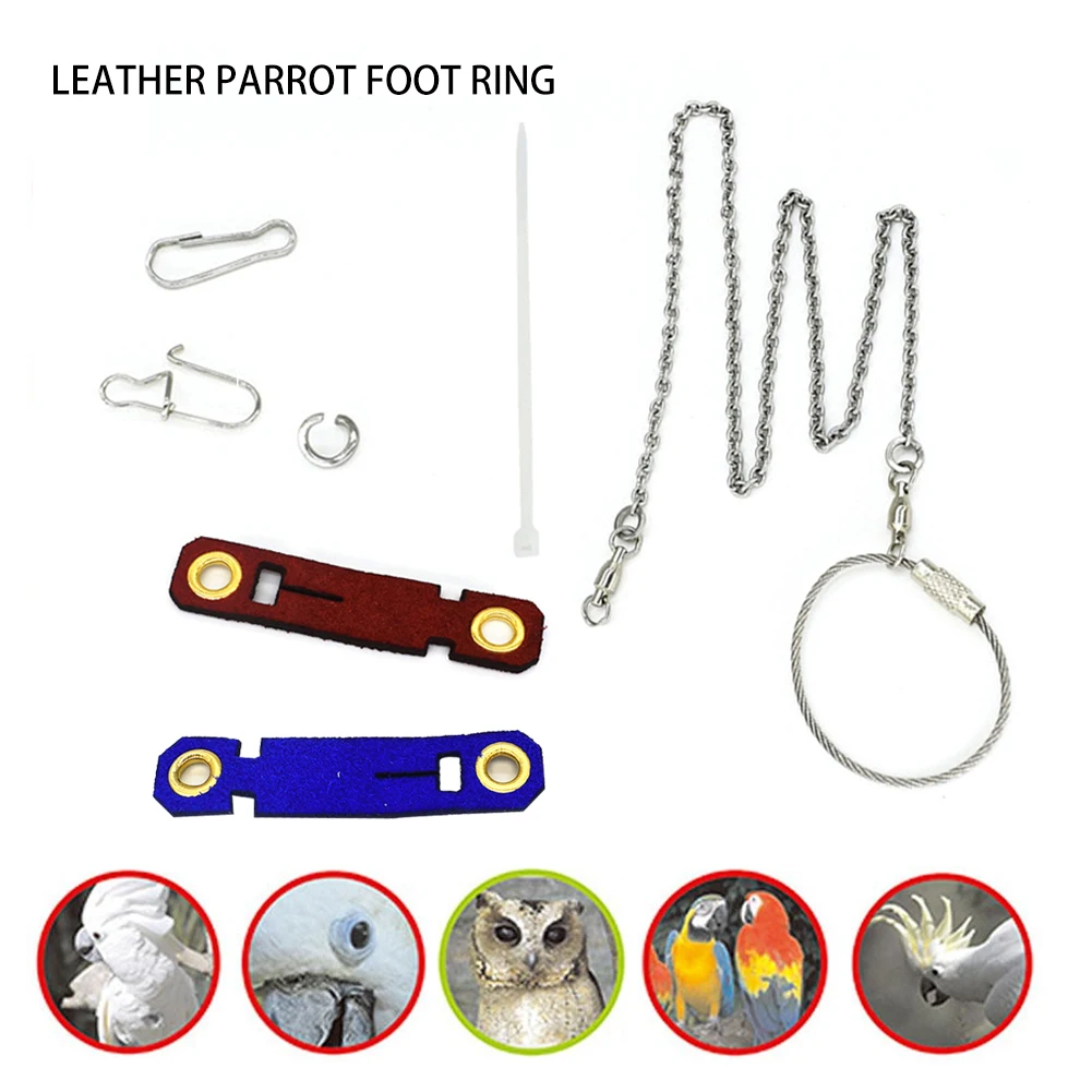 5 Sizes 2 Colour Pet Parrot Leg Ring Ankle Foot Chain Bird Ring Outdoor Flying Training Activity Opening Bird Stand Accessories