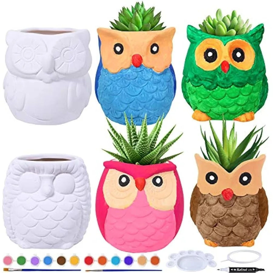 

6 Sets DIY Ceramic Owl Succulent Pots Figurines Paint Craft Kit Unpainted Ceramic Bisque Paintable Owl Ceramic Flowerpots with