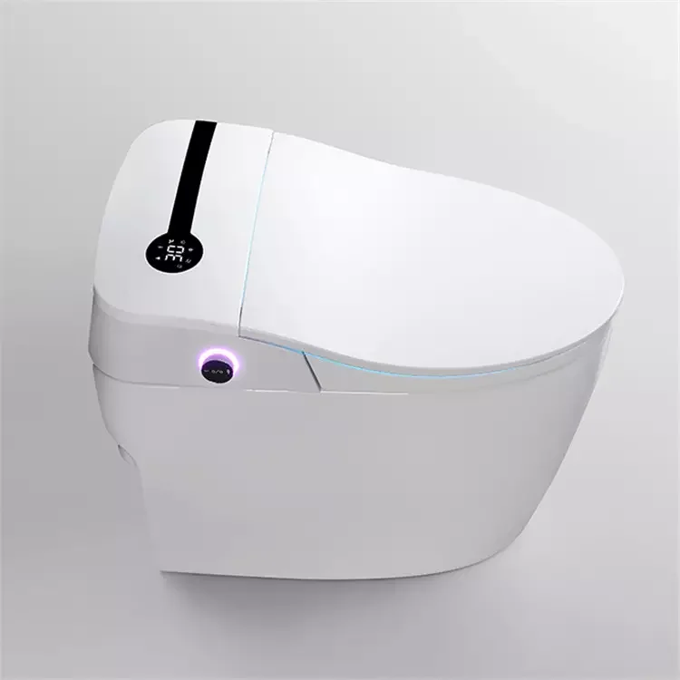 The Most New Sanitary Wares One-piece Smart Showersmart Tankless Toilet Smart 110V with Warm Cover Seat