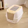 Orange B