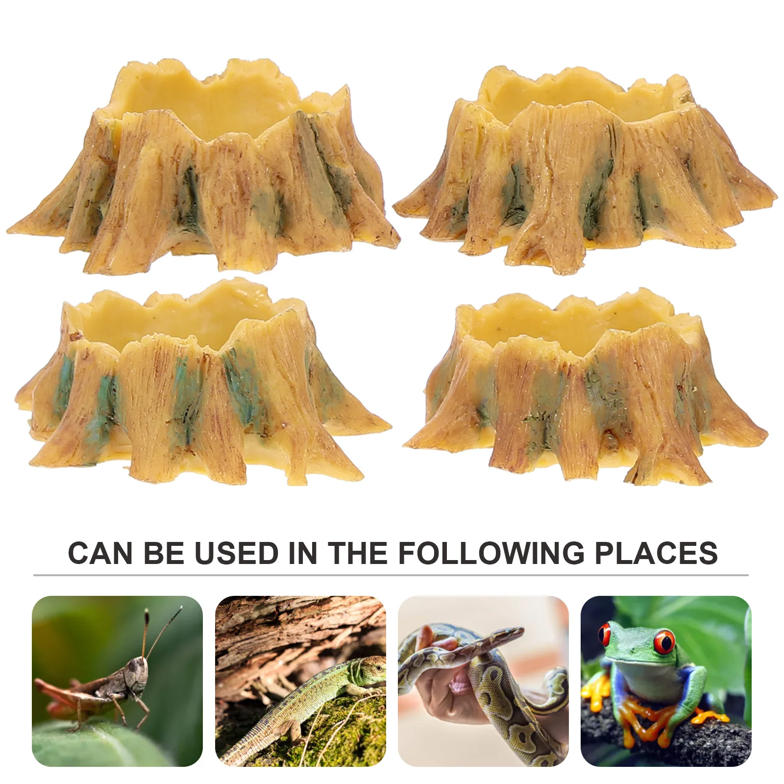 4 قطعة مجموعة أطباق مياه الزواحف قسط الراتنج أطباق تغذية صغيرة للحيوانات الأليفة الصغيرة وعاء تررم غير قابل للانزلاق للعناكب الضفادع #4