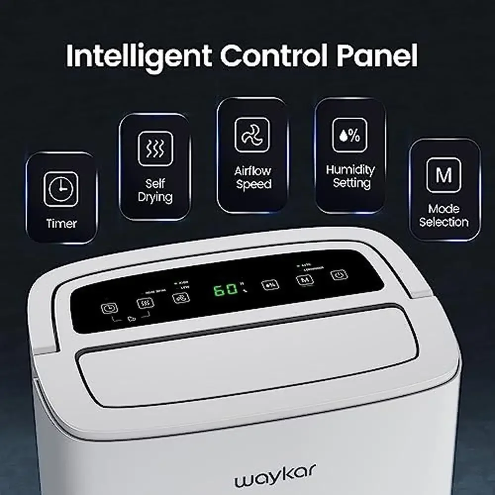 Energy Star 80 Pinte Deumidificatore Seminterrati domestici Camere di grandi dimensioni Controllo automatico Funzionamento silenzioso Tubo di scarico Timer ad asciugatura automatica Aria pulita