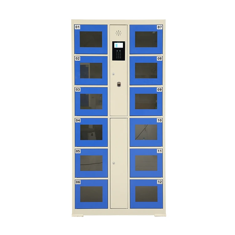 Smart Locker With Fingerprint System 12 Doors Stainless Steel Cabinet