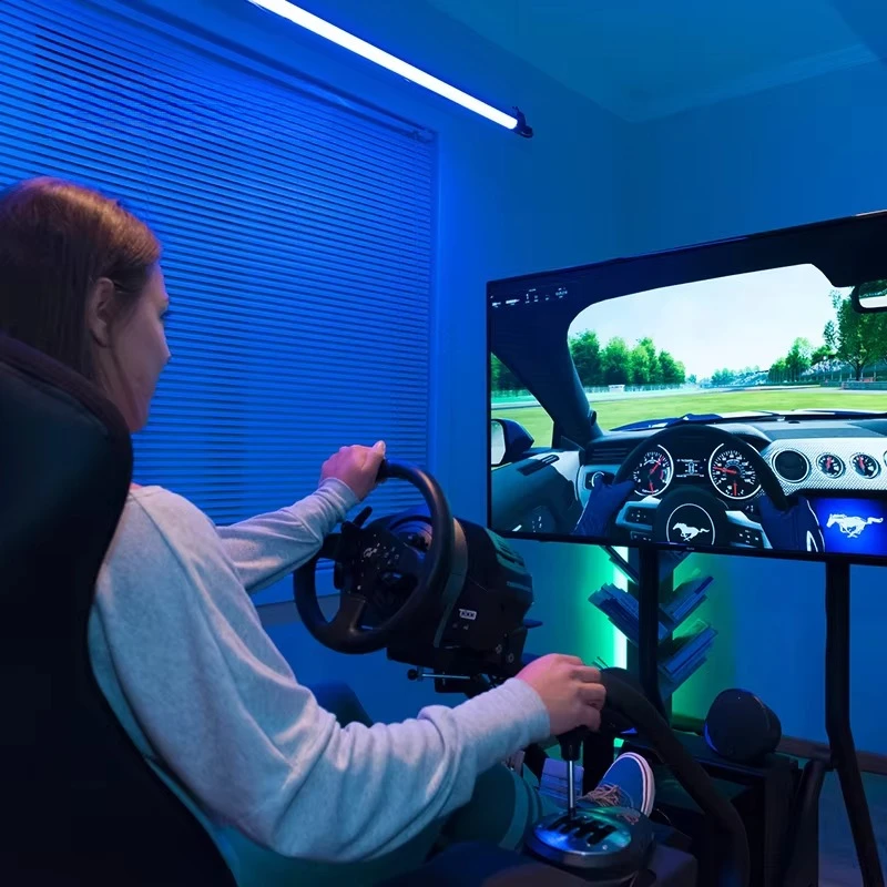 Renixsim Sim Racing Rig Indoor Amusement Park Coin Operated Racing Training Games Equipment for Adult