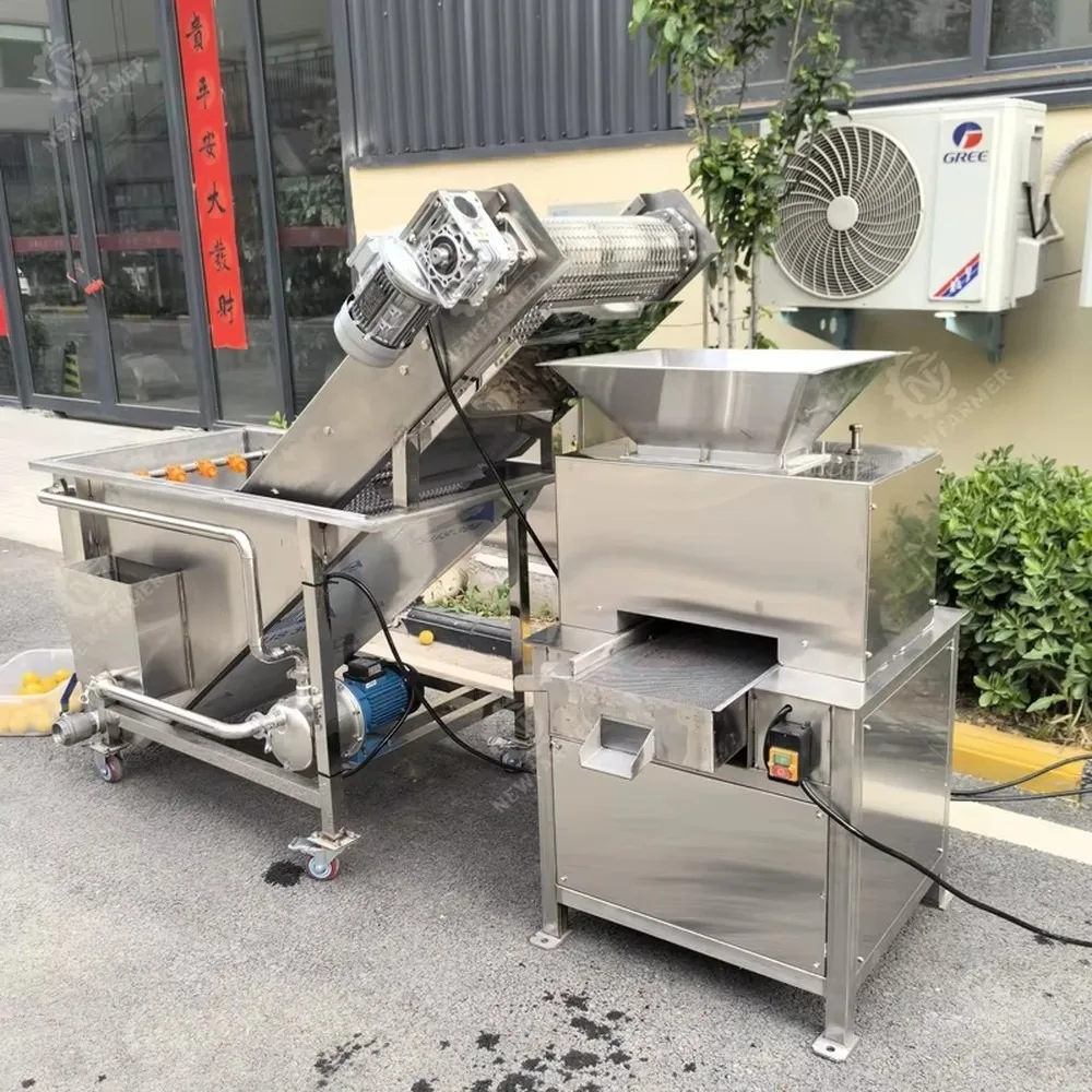 Commercial Cold Press Juicer Double Roller Industrial Fruit Juicer Extractor Easy Operate Simple Maintenance