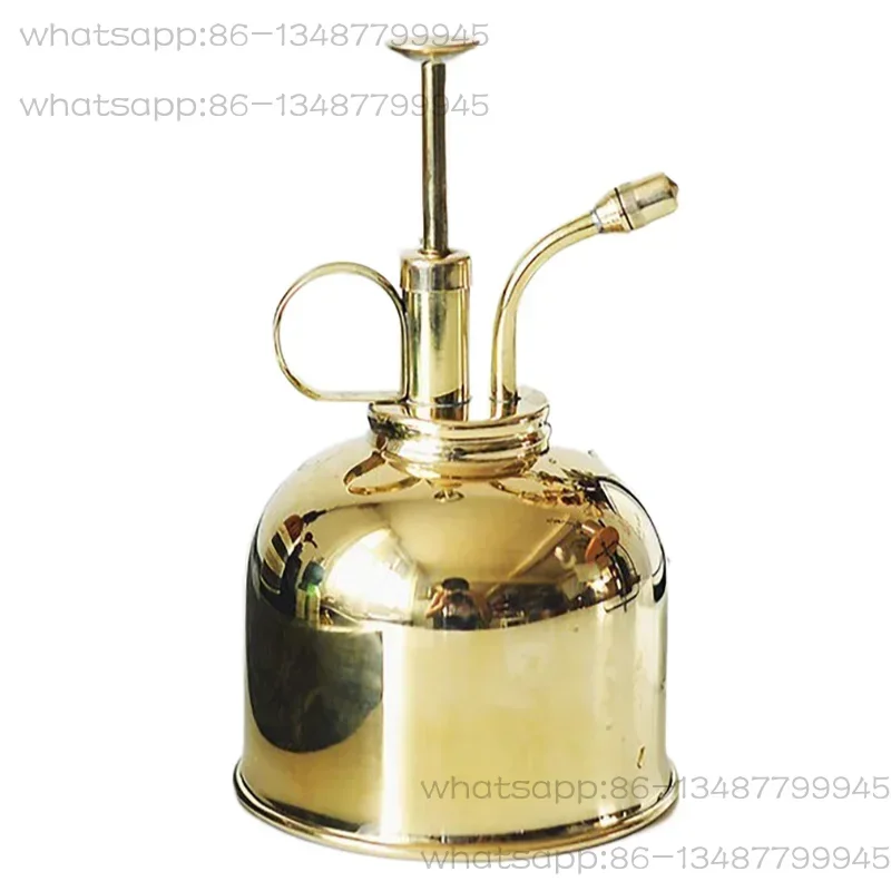 

Classic Brass Spray 300ml Mini Water Kettle Light Luxury Gardening Home