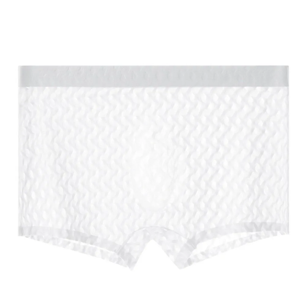 Cool Low Waist Men's Underwear Lingerie Thin Flat Thin Panties 3D Bulge Pouch Mesh Transparent Briefs Boxer Male Male