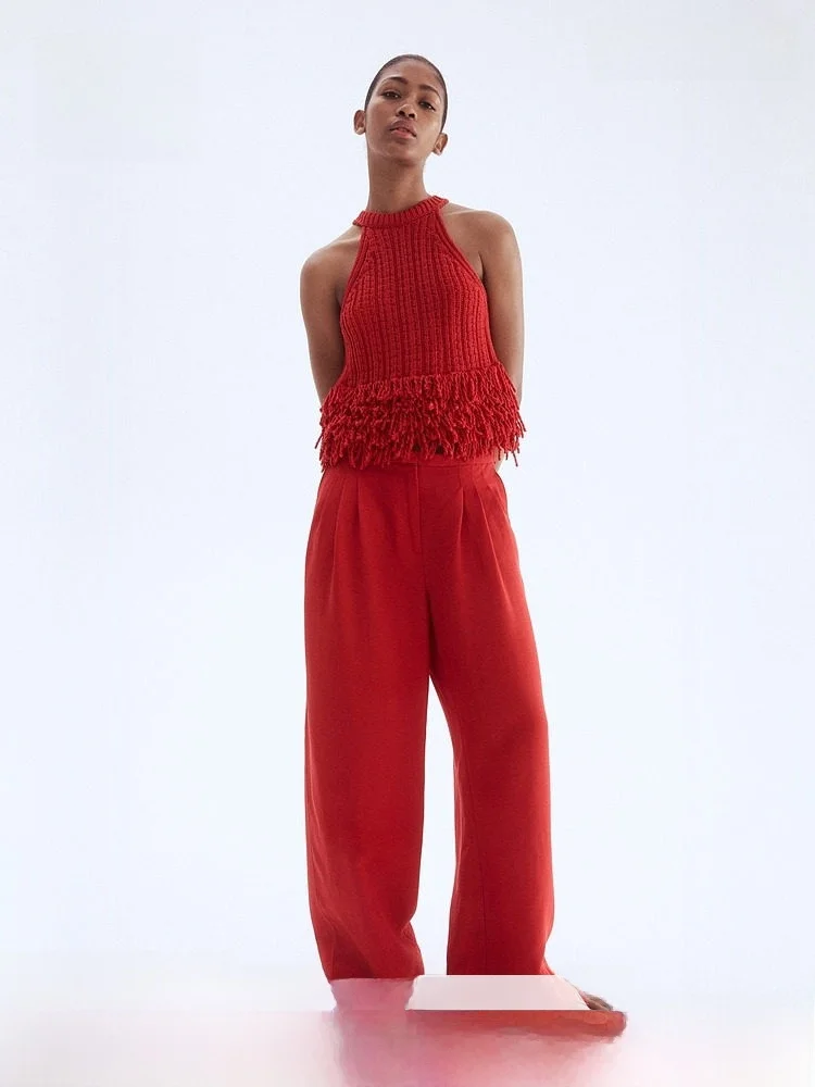 

Красный вязаный свитер с бахромой, модный женский топ H&M для весны и лета, из смесового полиэстера и хлопка, стандартной длины