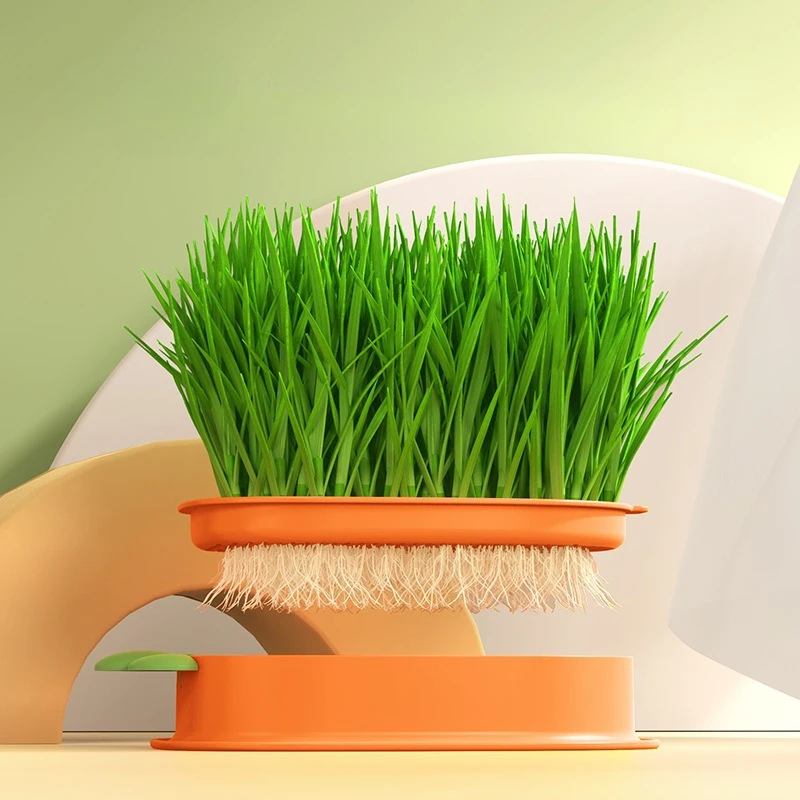 Cat Grass Hydroponic Box Cat Snacks Seed Planting Kit Separation Soilless Hydroponic