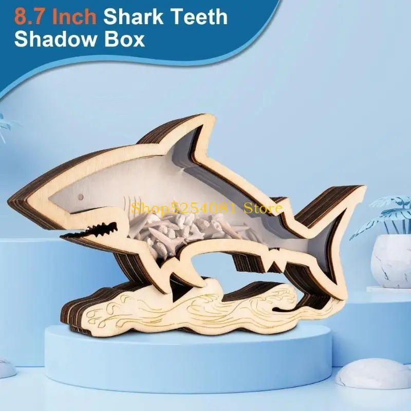 AXYC Seashells Holders Wooden Seashells Display Box for Shark Teeth Collections