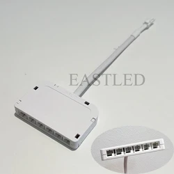 Dupont Terminal Junction Box 6 Port Hub Splitter Dupont Male Plug Cable Quick Line Connector for LED Strip Cabinet Light Power