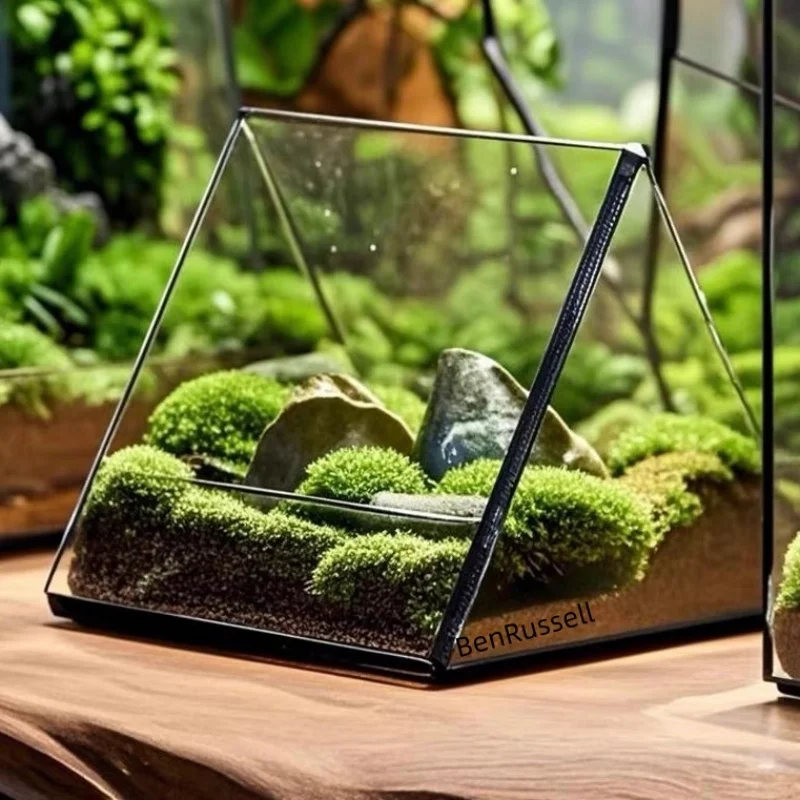 Micro Landscape Triangle Glass Geometric Terrarium Moss Plant Tank Glass Flower Room Ecological Vase Succulent Plant Vase