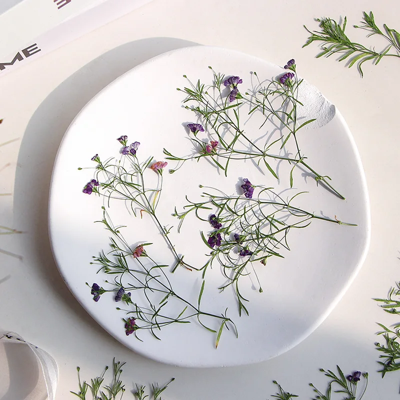 

60pcs Pressed Dried Gypsophila muralis Flower Herbarium For Resin Epoxy Jewelry Card Bookmark Frame Phone Case Makeup Lamp