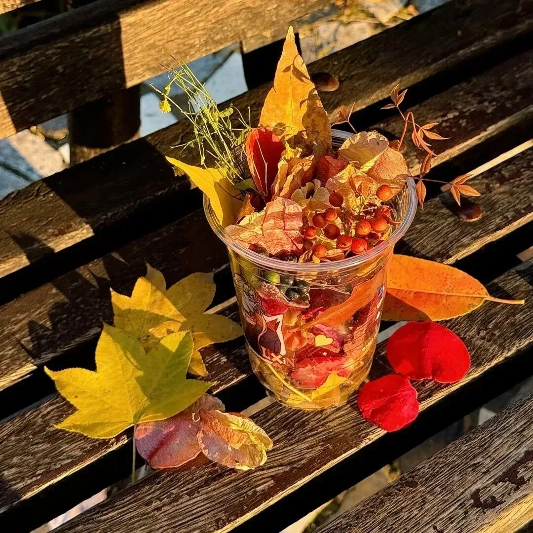 Physical Therapy Ce…