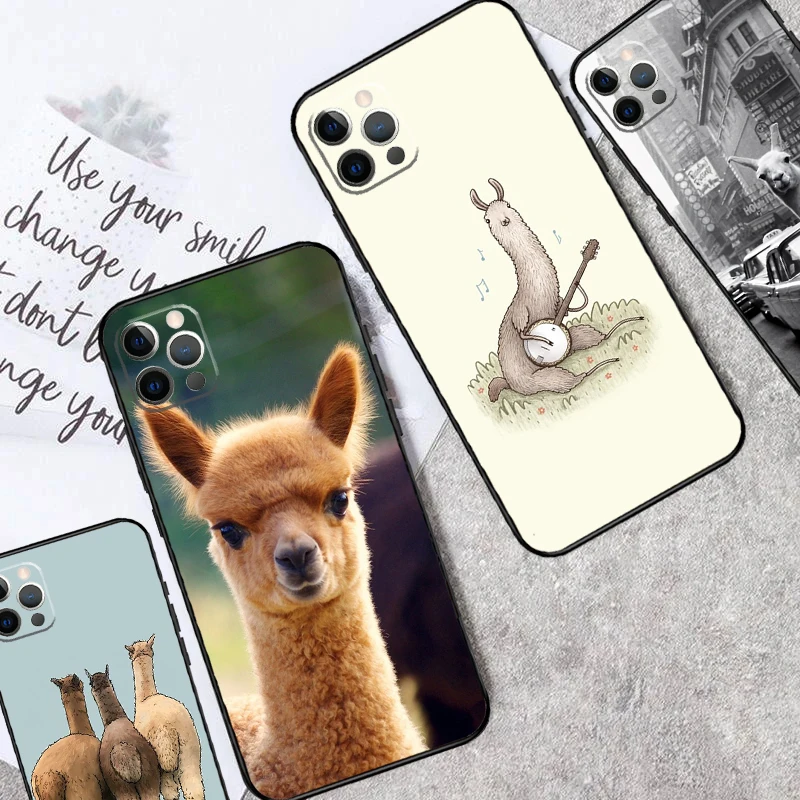 Cute Alpaca Donkey … - image