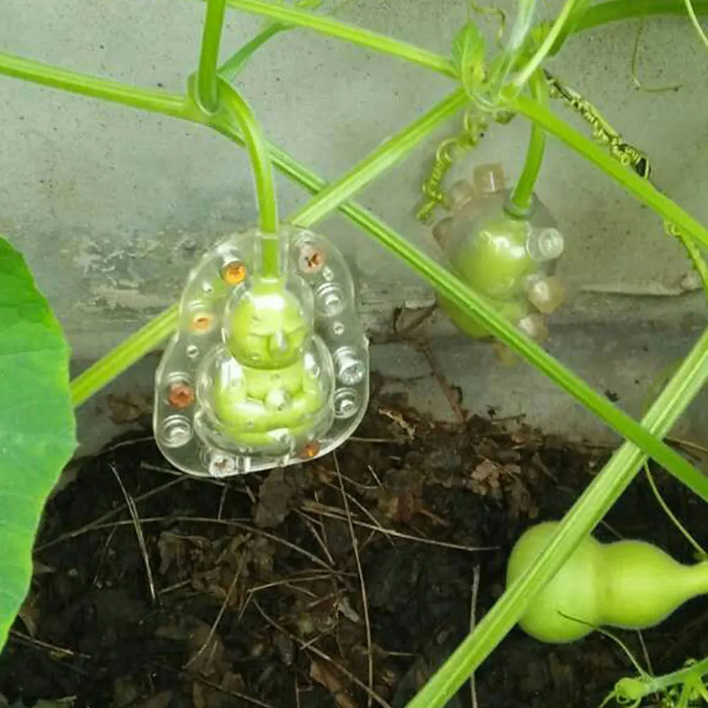 

5pcs Mold Adorable Ginseng Fruit Shaping Tool For Vegetable Growing Transparent Reusable Plastic Diy Garden Molds