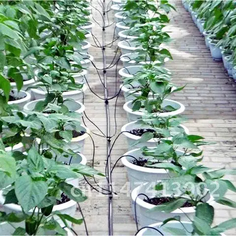 

Curved Dripper Potted Plants Automatic Irrigation Agriculture Emitter Irrigation Water Drop Garden 1/8 Inch Hose 200Pcs