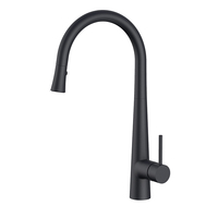 Modern High Arc Kitchen Faucet with Single Handle Pull-Out Spray Deck Mounted Brass Water Tap Hot Cold Mixer for Sink