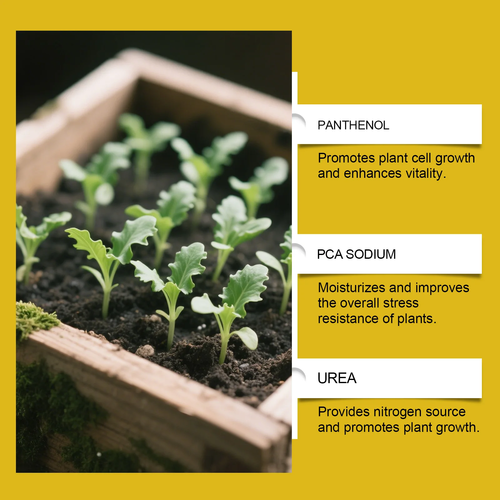 Plant Rooting Solution Indoor and Outdoor Plant Liquid Fertilizer Accelerates Plant Root Development and Provides Nutrients