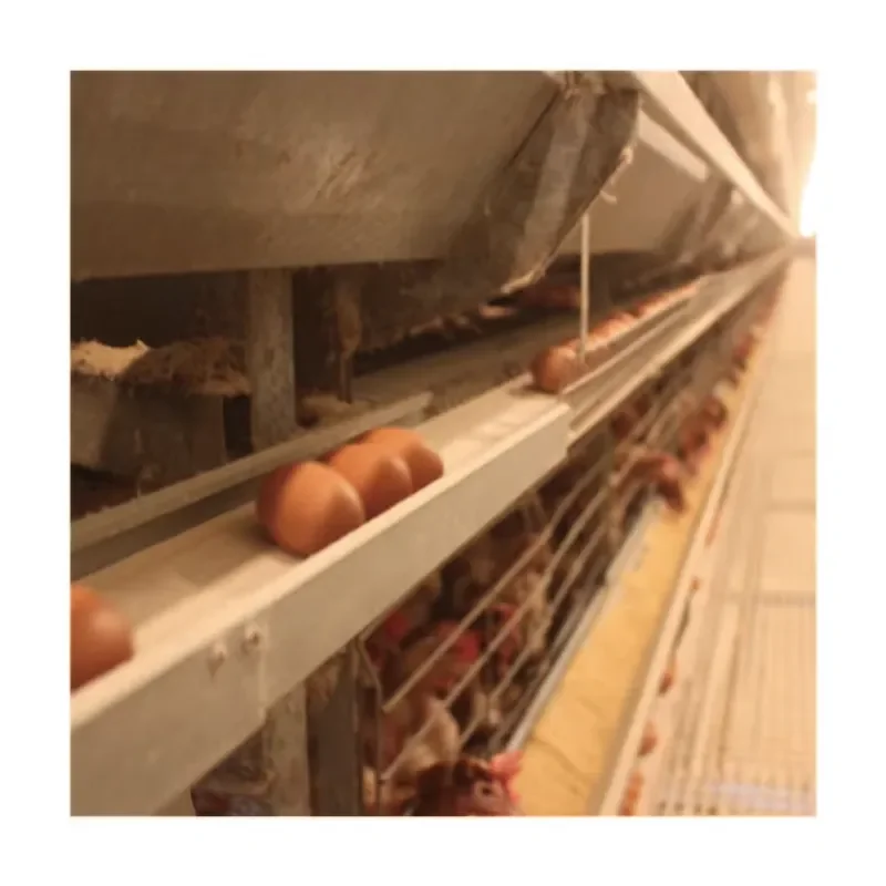 Automatic H-Type Egg Layer Chicken Battery Cage for Modern Poultry Farming Animal Cage New Condition