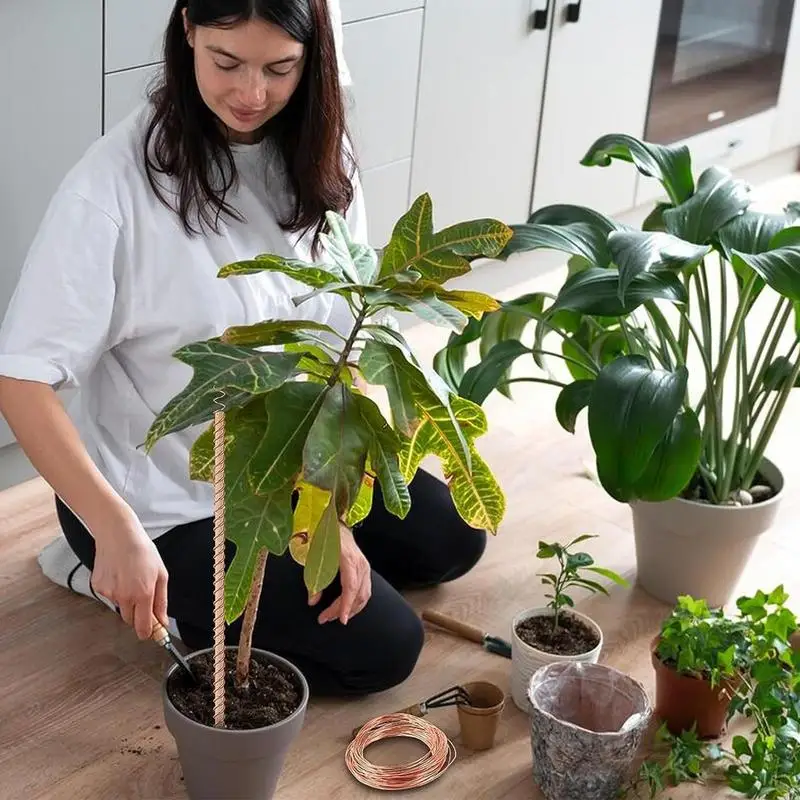 Estacas De Eletrocultura Antena De Jardim Para O Cultivo De Plantas E Legumes, Usando Energia Éter, Fio De Cobre, Ferramentas De Jardim