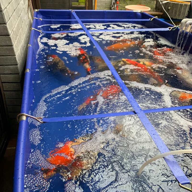 بركة سمك قماشية سميكة مع سكين كشط قماش تجمع خارجي خزان تربية بركة السمك البلاستيكية البسيطة #3