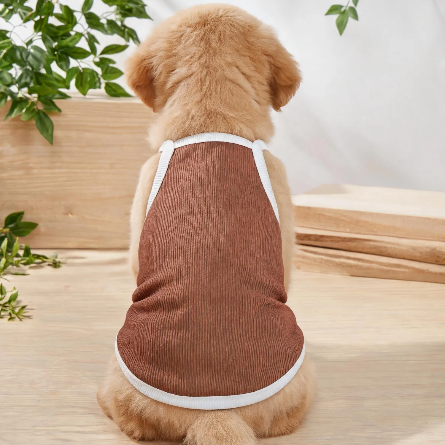 Tank Top Ribbed - 1PC Tank top anjing dengan pinggiran