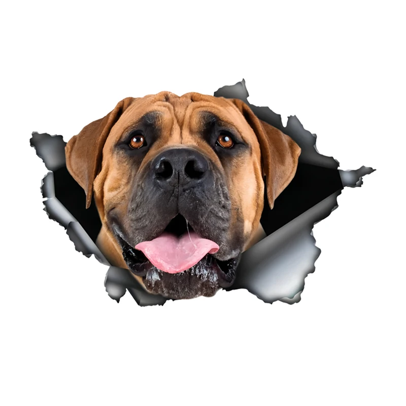 

DK489# Boerboel Car Bumper Window Stickers For Car Truck Van Fashion Decals Vinyl Material Stickers