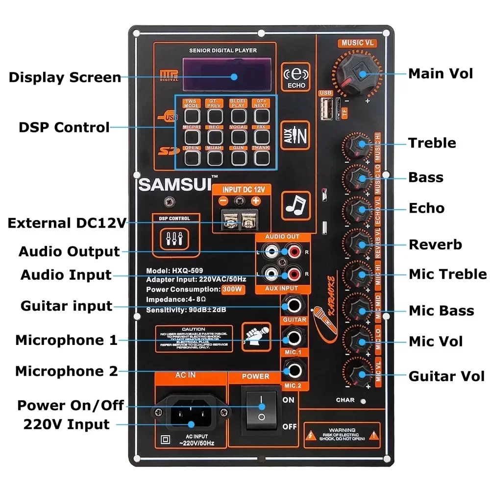 Scheda amplificatore digitale Bluetooth 220 W 12V/200 V per altoparlante da 8-18 pollici con microfono ingresso chitarra controllo DSP