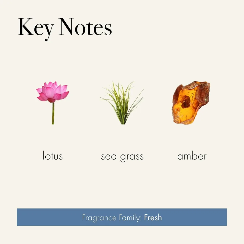 Classic 6.5 oz Sea & Dune Scented Candle with 50-Hour Burn Time, Reusable Hand Blown Glass, American Made