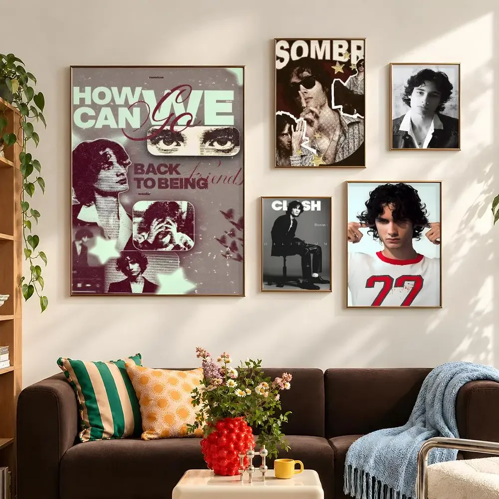 Singer sombr Shane Boose Back to Friends Poster Self Adhesive PP Wall Art HD Gaming Room Bedroom Living Room Decor Apartment