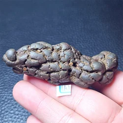 Rare Natural Gobi Desert Stone Mineral Specimen Desk Home Decoration
