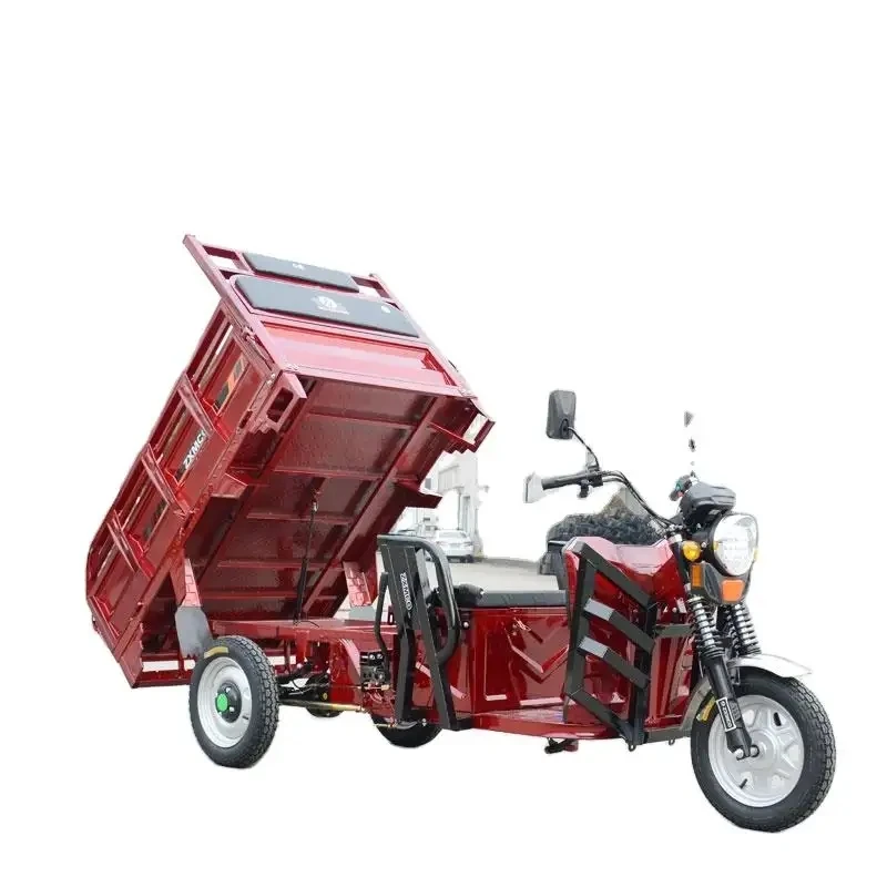 China Produce Motored Tricycle Cargo 1200w 1000w Cargo Electric Tricycle Safety Popular Electric Cargo Tricycle 3000w