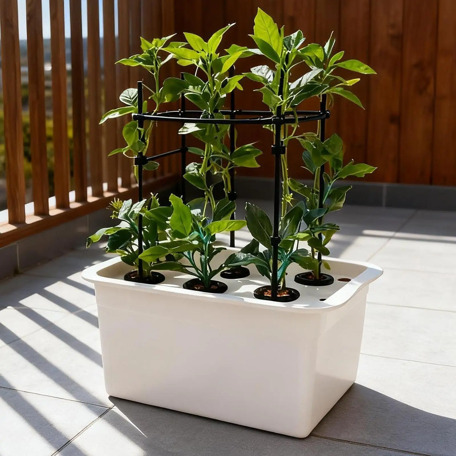 Hydroponic System Growing Box,Improved Aeration,Large Capacity,Garden Cabinet Box,Indoor Gardening System for Lettuce,Vegetables