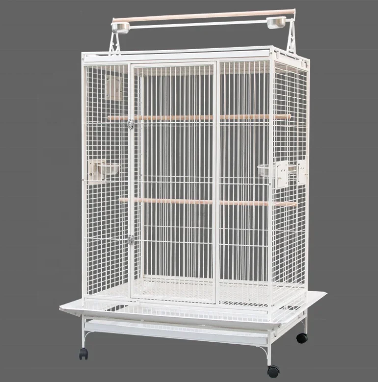 Cage à oiseaux grise pour perroquet africain, avec accessoires