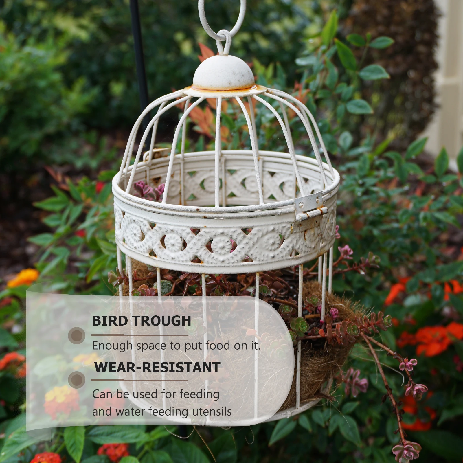 

Feeder Bird Food Tank Accessories Seed Dishes Small Parrot Transparent for Wild Birds Elder Feeders Outdoors