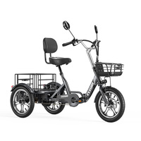 Cysum T1 Pro Electric Tricycle for Adult, Cargo Electric Bike Three Wheels for Men Women Elderly, 48V 22Ah Battery Range 150km