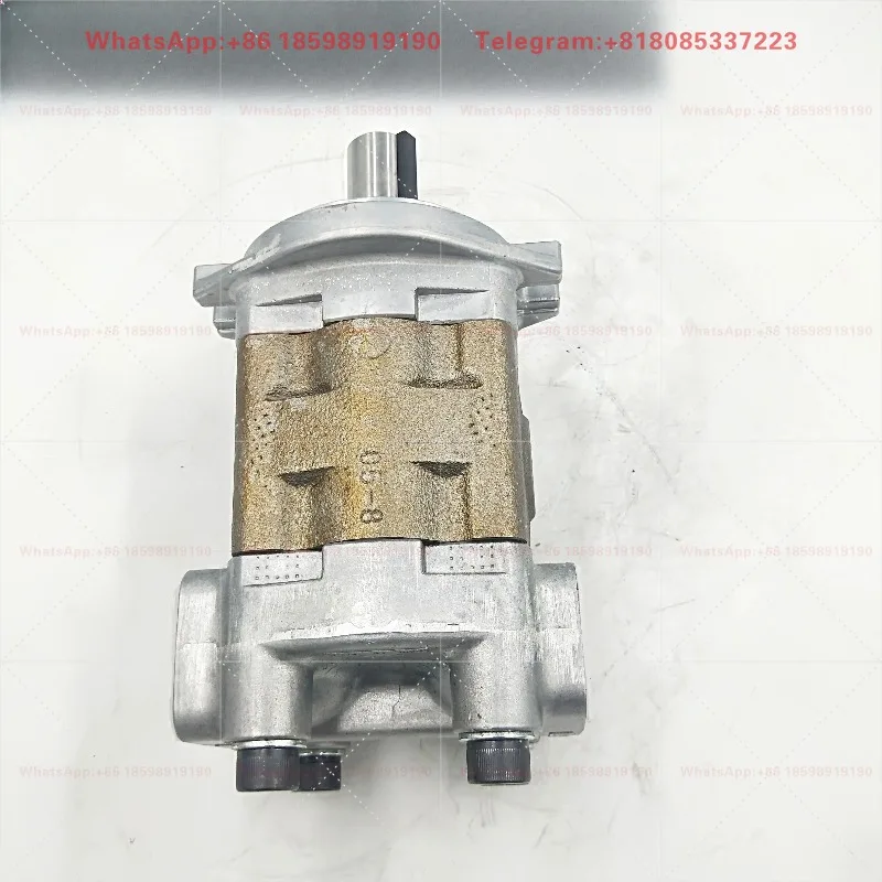 1 piece suitable for YP YP10 YP10-3D2H2-L YP10-3A2H2-R YP10-5A2H2-R YP10-7D2D2-L Hydraulic Gear Pump