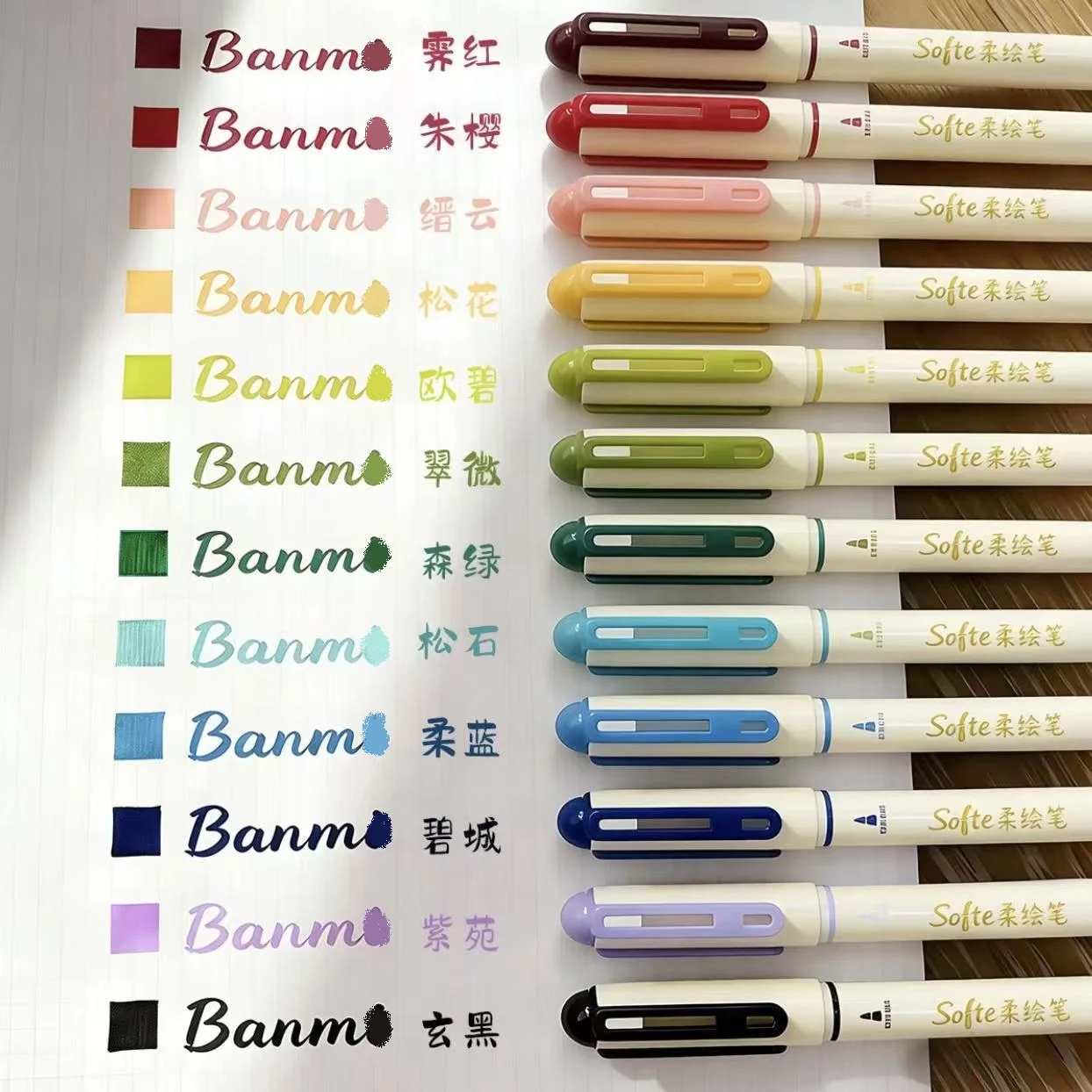 12Pcs Soft-Tip Brush Pen Set Water Based Ink Marker Pens for Calligraphy Hand Lettering Painting Art Project Drawing