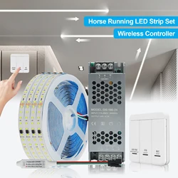 WS2811 24V Running Water LED Strip 2835 120LEDs/m Flowing Light Wireless Controller Flexible Tape Horse Racing LED Strip 5M 10M