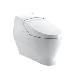 Automatic sensor flushing remote control electric one piece bidet toilet tankless floor mounted intelligent smart toilet